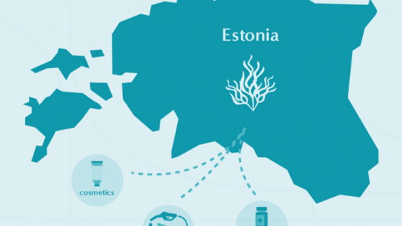 Algae-based business models in Estonia